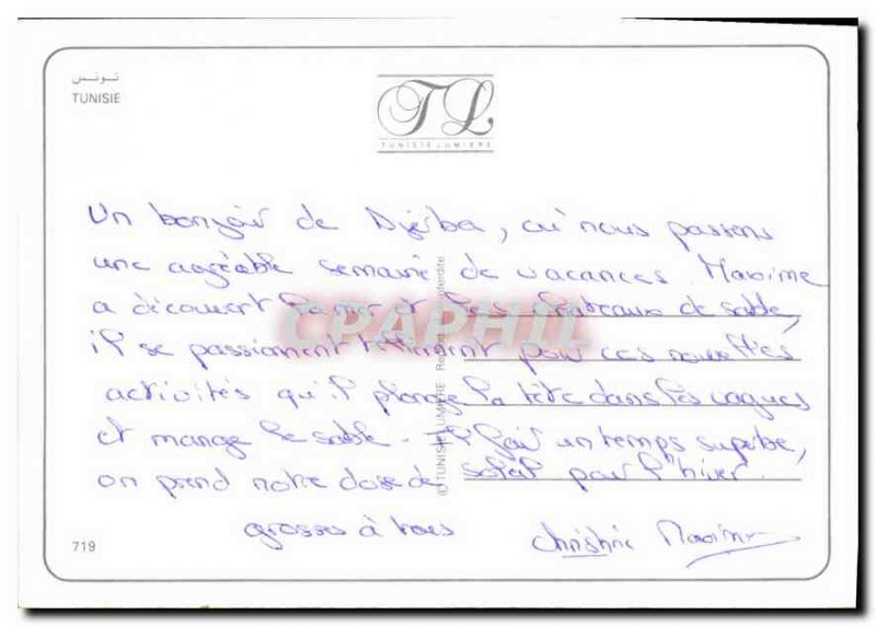 Postcard Modern Tunisia Camel