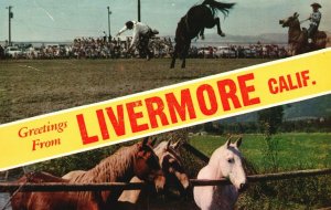 Vintage Postcard Greetings From Livermore California Natural Color Card Pub.