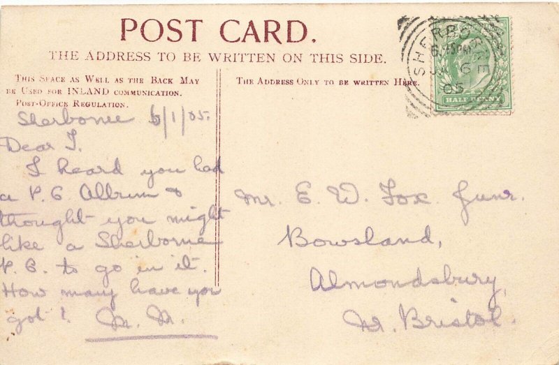 SHERBORNE CASTLE DORSET ENGLAND~1905 WILKINSON TINTED PHOTO POSTCARD