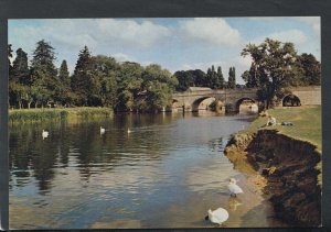 Berkshire Postcard - The Bridge, Wallingford      RR5956