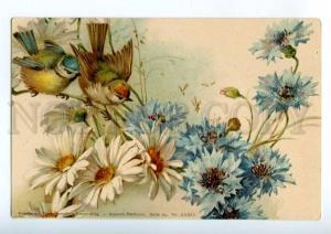 214904 BIRDS in Flowers CAMOMILE by KLEIN Vintage TSN postcard