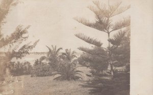 RPPC BAY VIEW FLORIDA BALL REAL PHOTO POSTCARD (c. 1905)