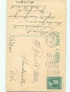 Divided-Back BEAUTIFUL FLOWERS SCENE Great Postcard AA3995