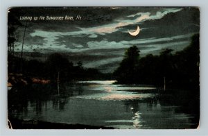 Suwannee River FL- Florida, Looking Up At The Night Sky, Water, Vintage Postcard