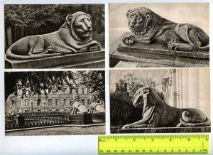 239789 RUSSIA Leningrad Lions SET of 24 old postcards