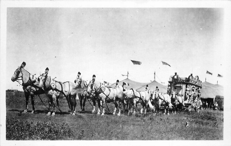 Citrus Wagon Horses Tent 1940s RPPC Photo Postcard 20-4768