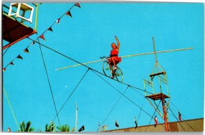 Tight Wire Bicycle Act, Circus Hall of Fame Sarasota FL Vintage Postcard D52