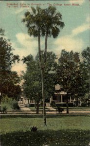De Land Florida FL College Arms Hotel Grounds Palm 1900s-20s Vintage Postcard