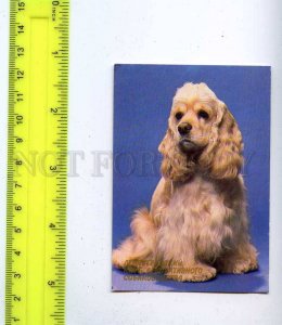 188899 USSR RUSSIA Kennel Club ADVERTISING CALENDAR 1990 year