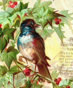 1880s Embossed Victorian New Year's Card Holly Blue Bird Poem #5C