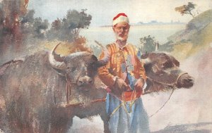 CONSTANTINOPLE TURKEY BUFFLES LEUR CONDUCTEUR BUFFALO & DRIVER POSTCARD (1913)