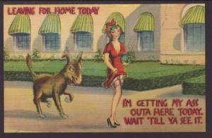 I'm Getting My Ass...,Donkey,Woman Comic Postcard