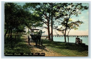 Early Manatee Florida FL Postcard Along the River Road Horse Carriage