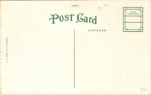 Postcard Alabama Mobile Government Street View Looking West Streetcar 1920s V59