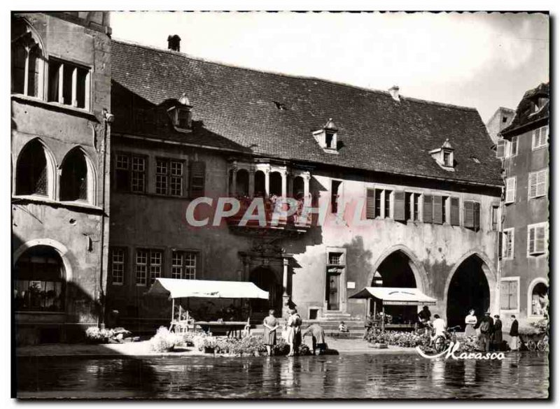 Postcard Modern Colomar Square Siege Old Cathedral of Justice (animated)