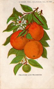 California Oranges and Blossoms Embossed