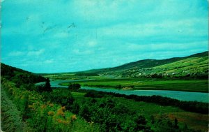 Margaree Valley and River Cape Breton Nova Scotia NS Canada Chrome Postcard B10