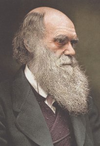 Charles Darwin Victorian Colour Added Photo Museum Postcard
