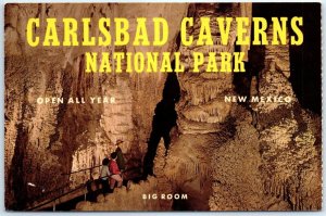 M-104775 Big Room Carlsbad Caverns National Park New Mexico USA