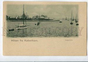 3081269 DENMARK Hilsen fra Kobenhavn Langelinie Vintage PC