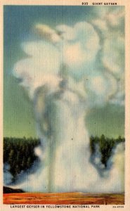 USA Giant Geyser Yellowstone National Park Linen Postcard 09.82