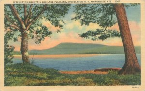 Speculator NY Mountain & Lake Pleasant 1948 Linen Postcard Used