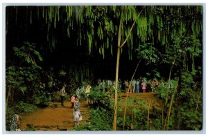 Kauai Hawaii Postcard Fern Grotto Picturesque Climax To Scenic Boat Trip c1960's