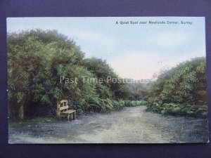 Surrey NEWLANDS CORNER A Quiet Spot c1908 Postcard by S & W Series
