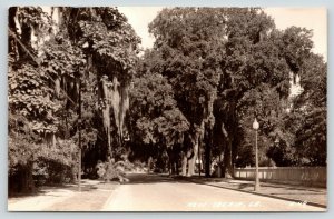 New Iberia LouisianaResidential StreetPicket FenceSpanish Moss1930s RPPC