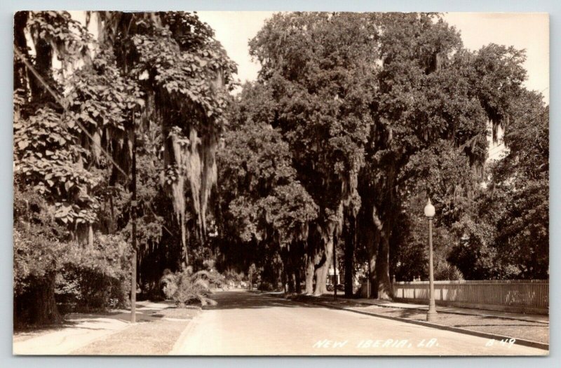 New Iberia LouisianaResidential StreetPicket FenceSpanish Moss1930s RPPC