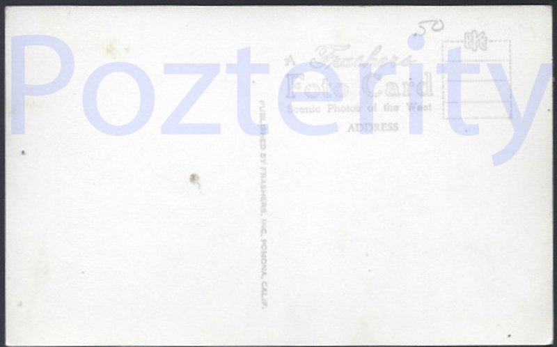 THE FOUR SISTERS CALIFORNIA YUCCA'S RPPC