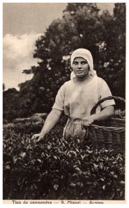 Woman Picking in Field from Acores