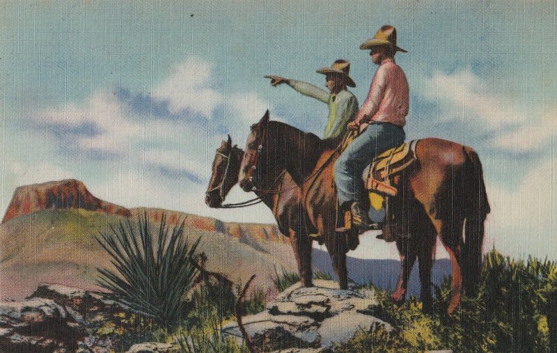 Postcard Horses Cowboys Ranger of the Southwest Vintage Linen