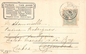 Anthropomorphic Humanized Monkeys Chasing Dog Comic Humor 1906 postcard B904