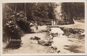 The Ravine Stanley Park Vancouver BC British Columbia Gowen RPPC Postcard H59