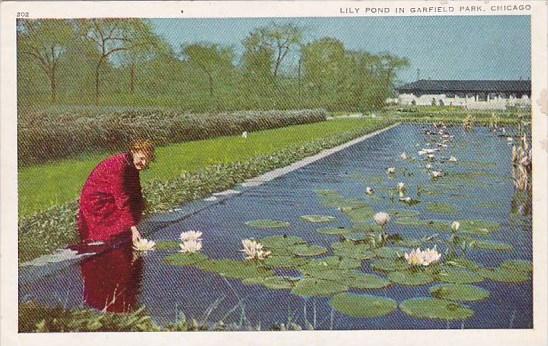 Illinois Chicago Lily Pond In Garfield Park