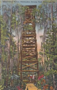Georgia Waycross Observation Tower Okefenokee Swamp Park 1947