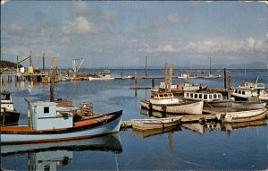 Willapa Bay Washington Nahcotta Mooring Basin 1950-60s Vintage Postcard