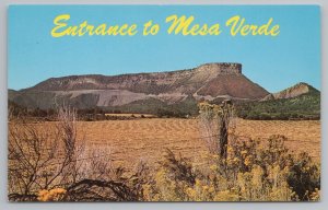 Mesa Verde Colorado~Park Entrance~Wildflowers on Barb Wire Fence~Ute Mtn~1950s