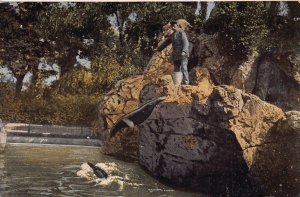 Germany Koeln a Rh Cologne Zoologischer Garten Alligator Crocodile postcard B962