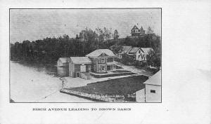 Lake Champlain VT Birch Avenue Leading To Brown Basin Postcard