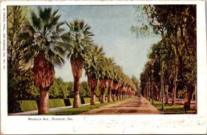 California Riverside Magnolia Avenue 1904