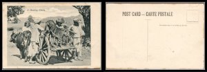 British India Antique Vintage Post Card A Hunting Cheetah Unused