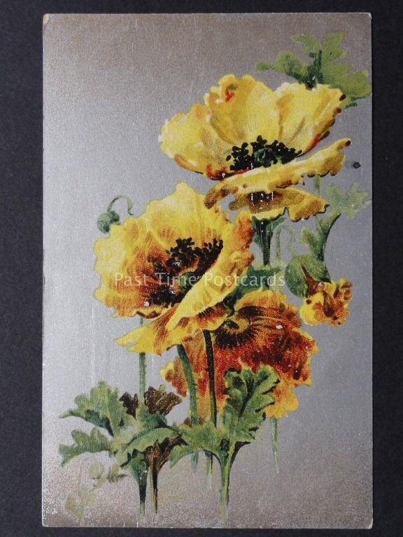 Poppies Postcard on Silver, Yellow Poppies c1909 by B.B.London Series 14