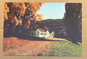 UNUSED POSTCARD - COLONEL'S HOUSE, WALTER PEAK STATION, QUEENSTOWN, NEW ZEALAND