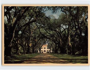 Postcard Live Oak Alley at Rosedown, St. Francisville, Louisiana, USA