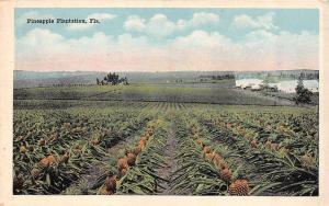 FL, Florida  PINEAPPLE PLANTATION Crops~House~Barn  FARM/AG  c1920's Postcard