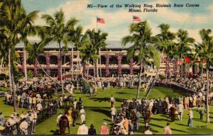 Florida Miami Hialeah Race Course View Of Walking Ring Curteich