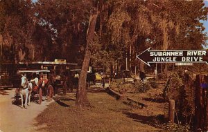 Suwannee River Jungle Drive Tallahassee, Florida, USA