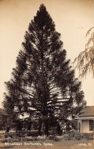 J84/ Santa Rosa California Postcard RPPC c1930s Luther Burbank Tree 248